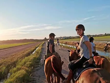 Casa Museo Rakkana - En El Centro De Requena