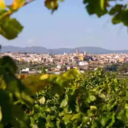 Casa Medieval Rakkana - En La Villa De Requena * Requena